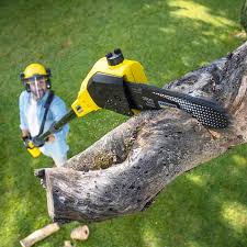 Best Weed Control  in Bakersfield Country Clu, CA