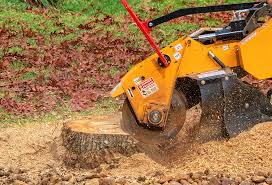  Bakersfield Country Clu, CA Tree Care Pros